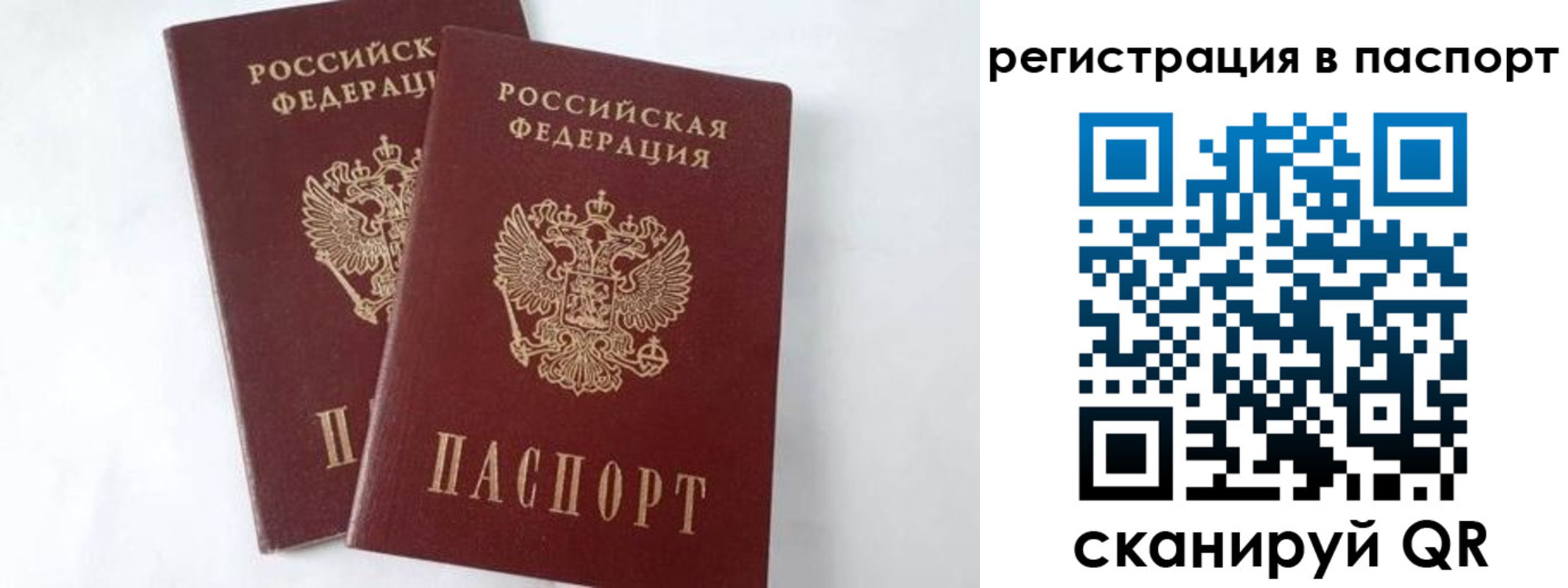 временная прописка в Волгодонске